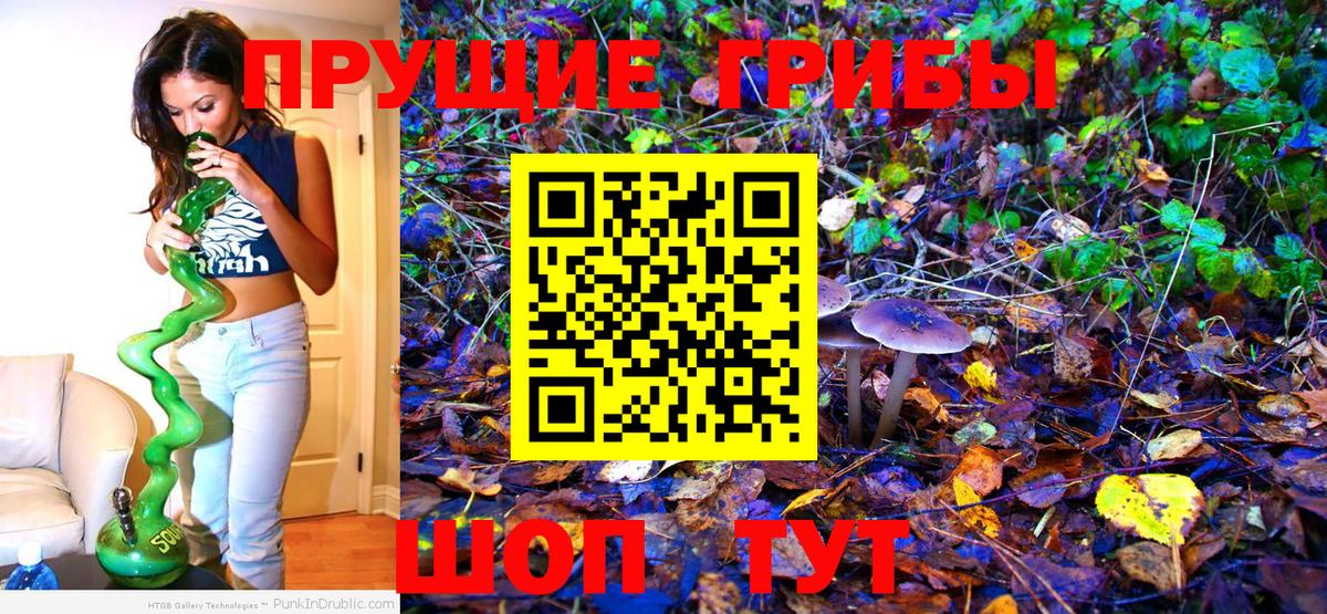 Комсомольск-на-Амуре  Галлюциногенные грибы Cubensis  Вход с VPN 